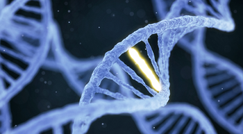 mutation