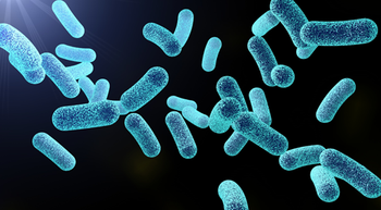 SER-109 Reduces Volume of Recurrent C Difficile Infection in Immunocompromised Patients