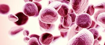 Rendering of plasma cells