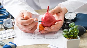 bladder © shidlovski - stockadobe.come