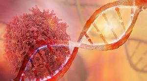 Survival Time Doubles in Mantle Cell Lymphoma with the Advent of Targeted, Combination Therapies