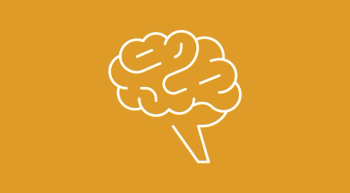 yellow background with a white outline indicating a brain
