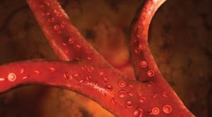 The History Behind the Development of CAR-T Cell Therapy