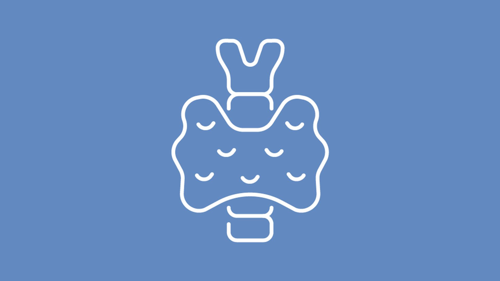 Line illustration of a thyroid on a cornflower blue background