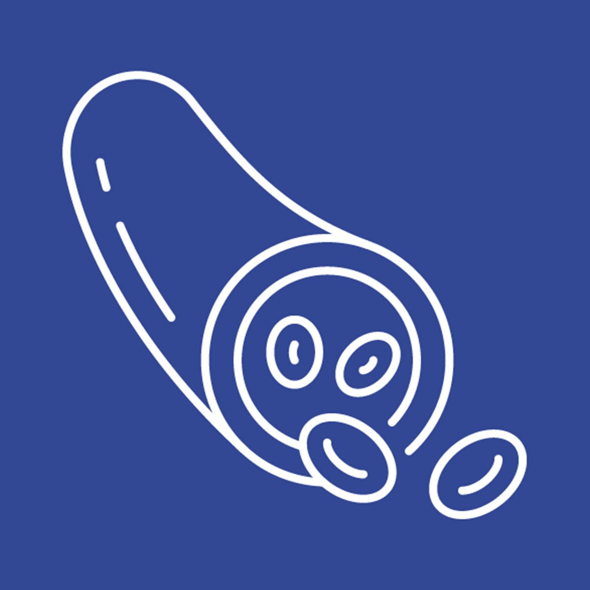 Line illustration of blood cells on a blue background