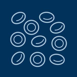 Light blue line illustration of blood cells on a dark blue background
