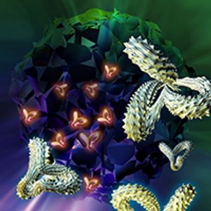 Identifying and Managing Endocrinopathies With Immune Checkpoint Inhibitors