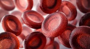 Graphic of blood cells