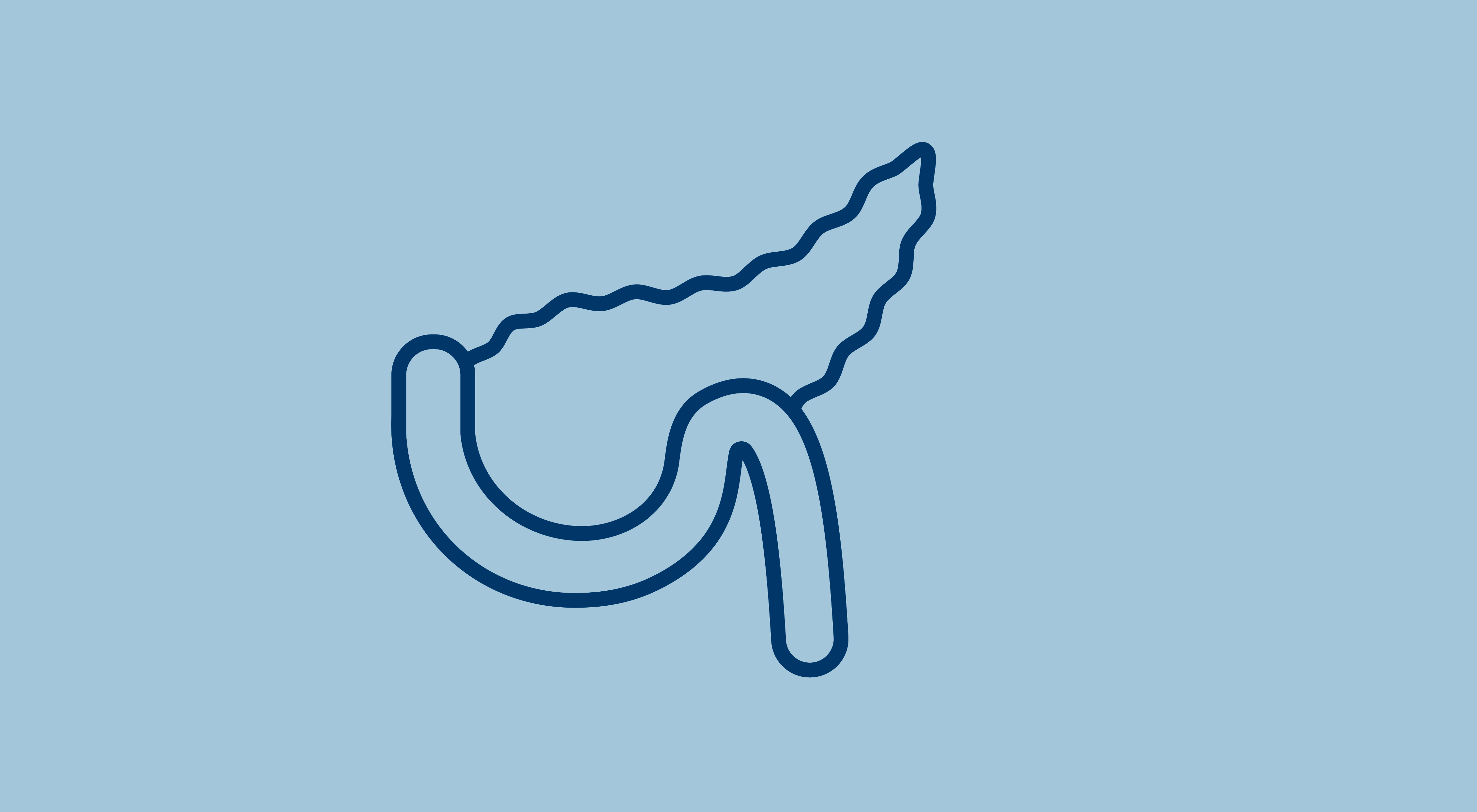 A simple dark blue line illustration of a pancreas on a light blue background