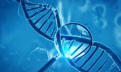 DNA Linked to Genitourinary Toxicity Risk With Radiation in Prostate Cancer 