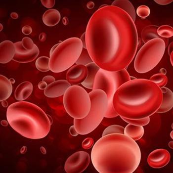 Image of red blood cells