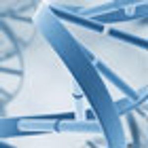 Momentum Builds for National Plan for Precision Medicine