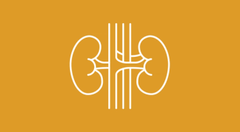 yellow background with a white outline indicating kidneys