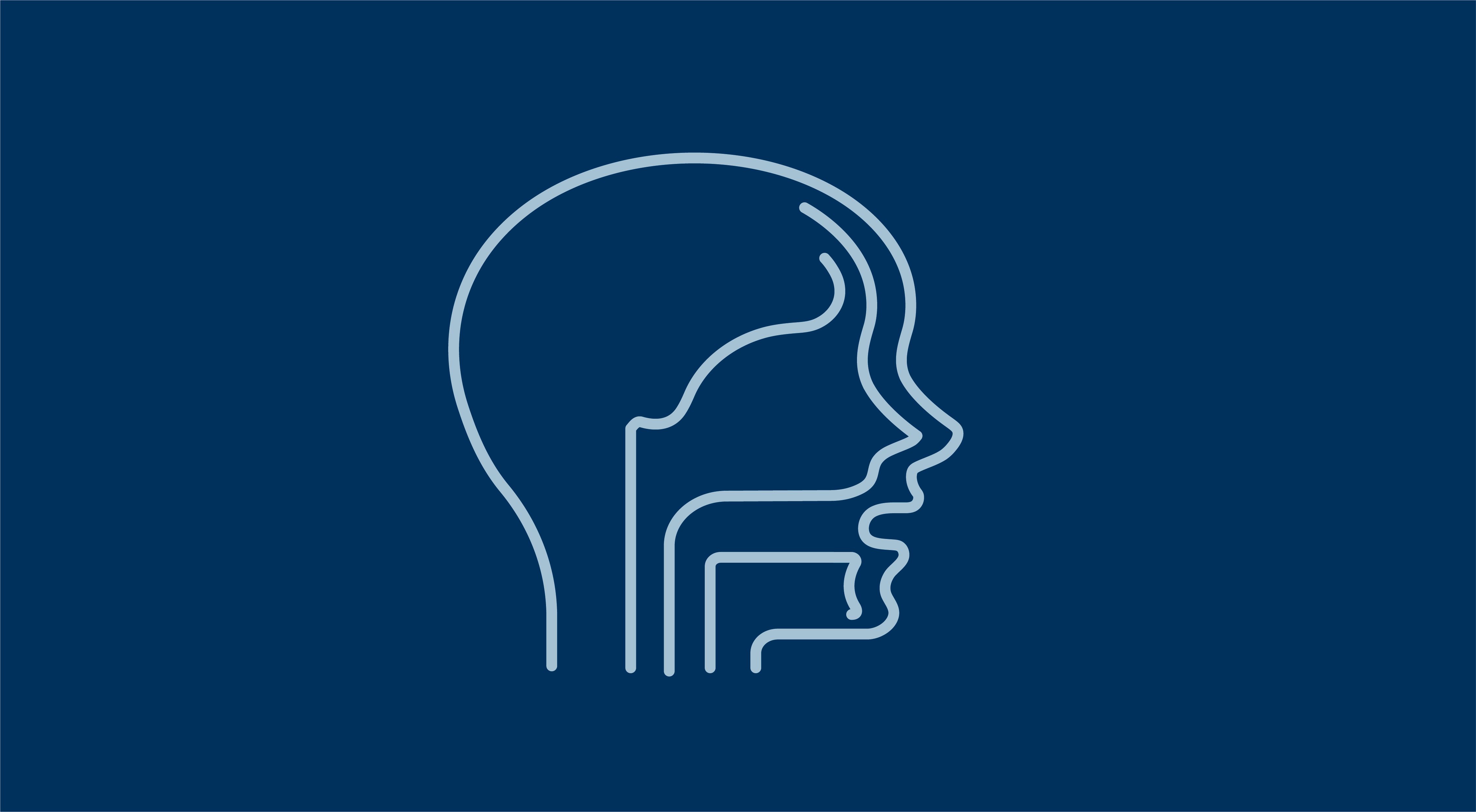 line illustration of the nasal cavity