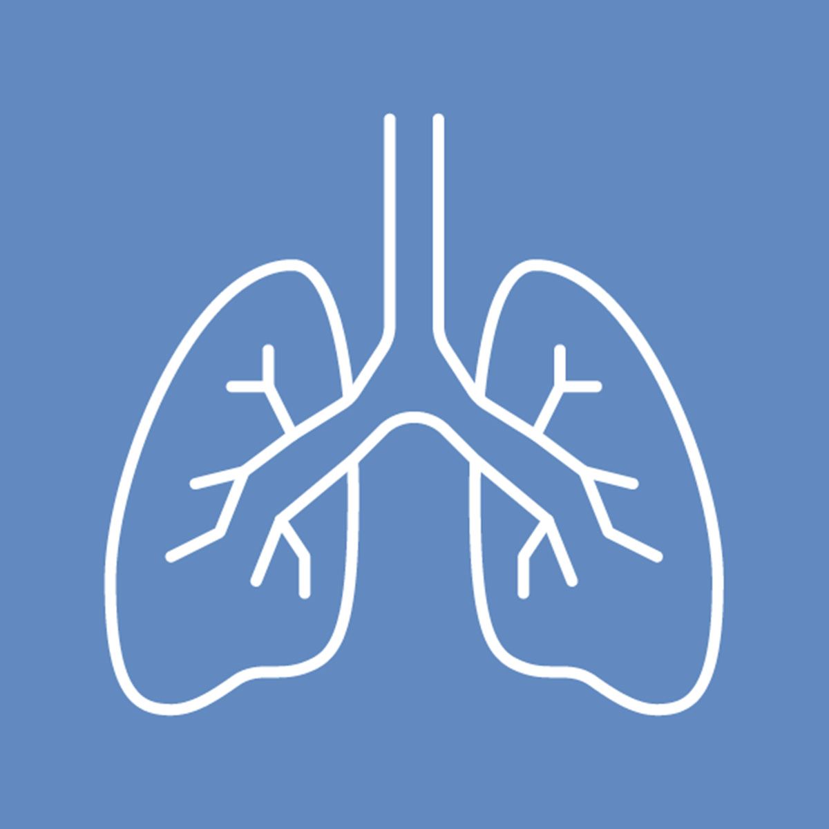 Line illustration of lungs