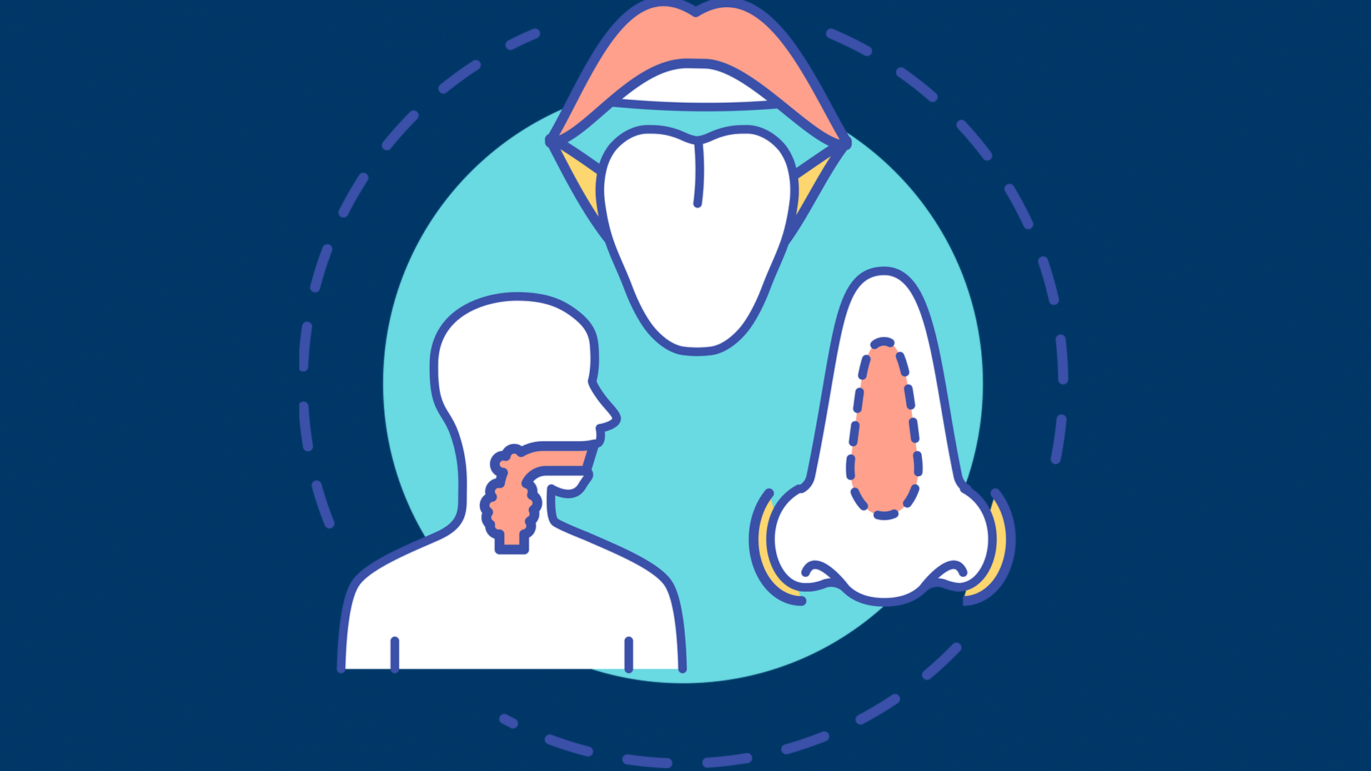 Head and Neck Cancer