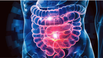 Graphic depicting the GI tract