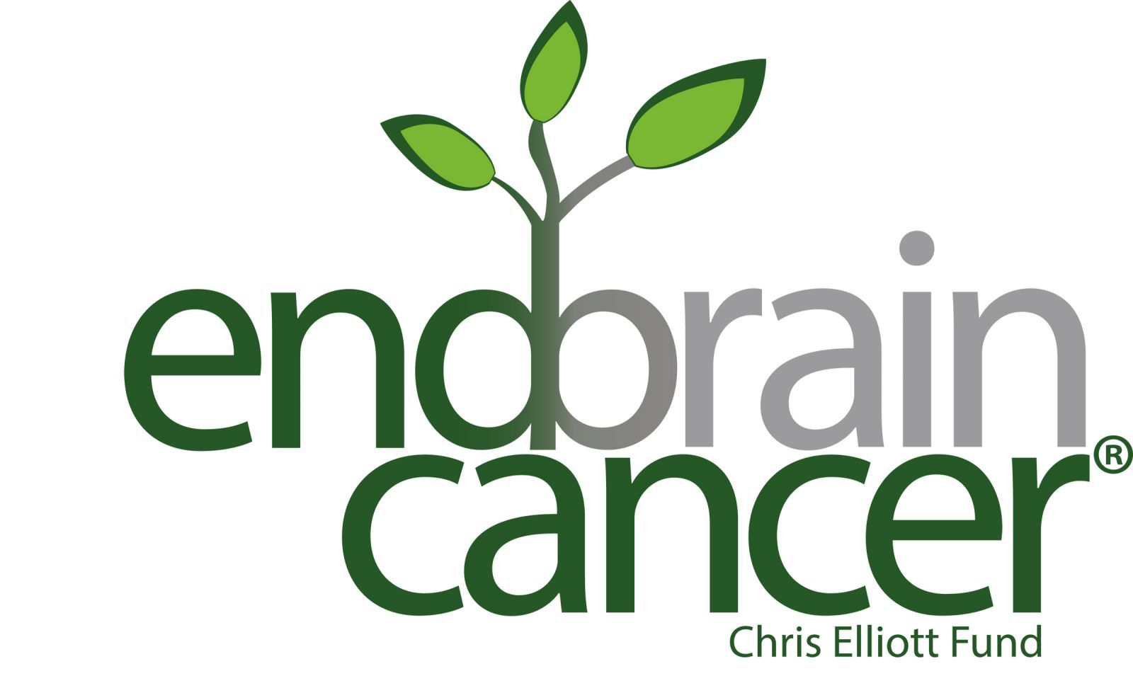 End Brain Cancer