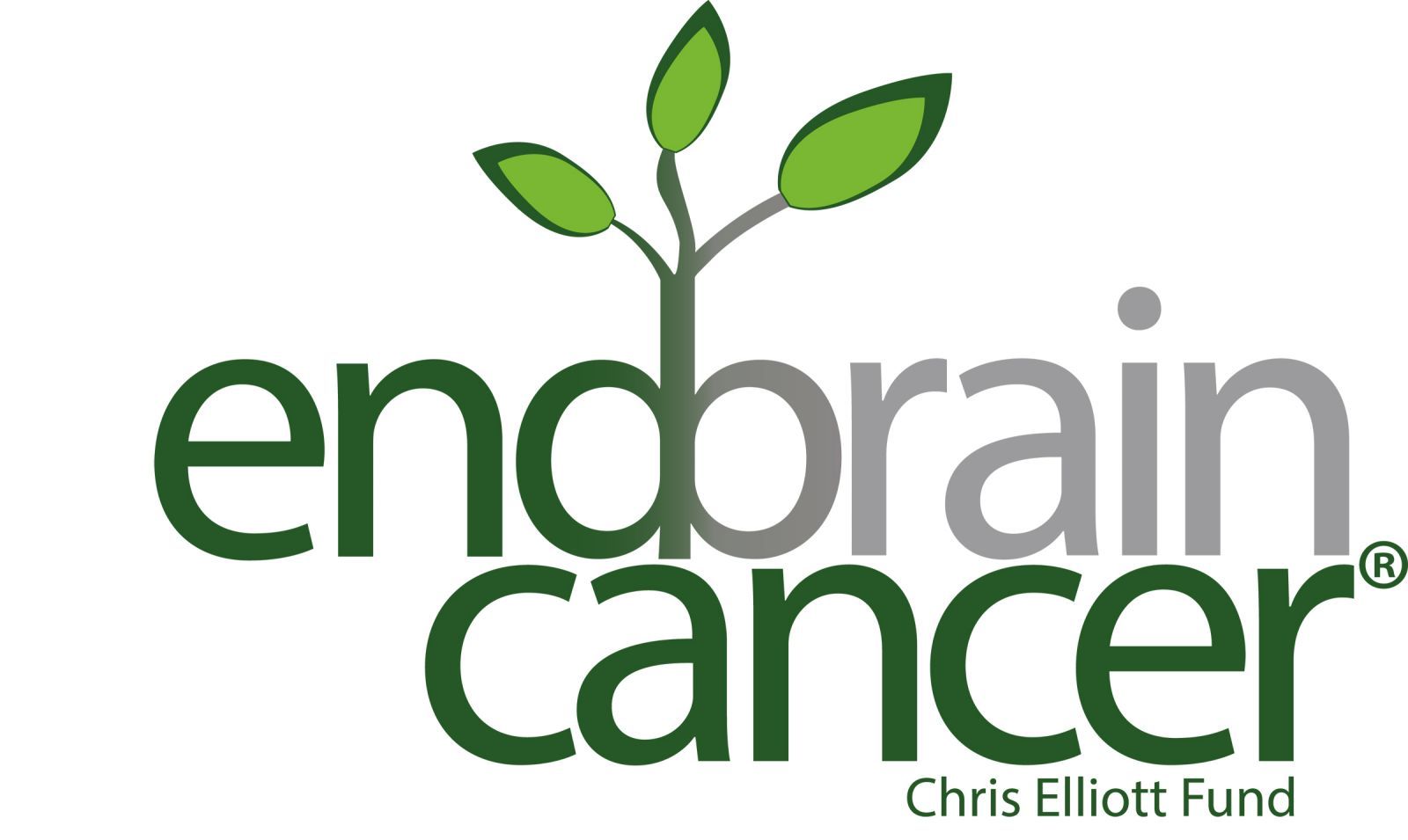 Sap Partners | Advocacy | <b>End Brain Cancer</b>