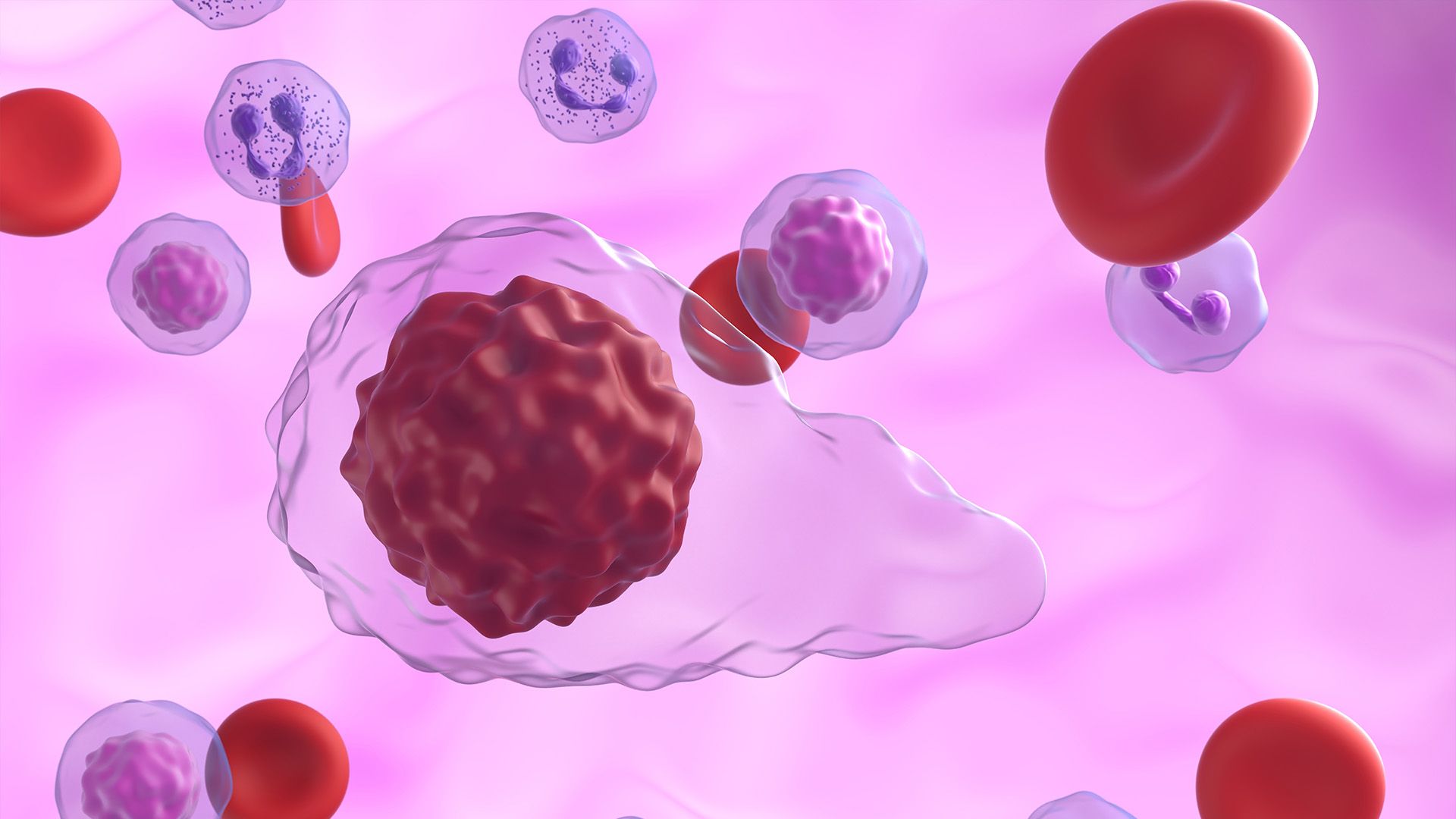 Graphic depicting myelofibrosis in the bloodstream