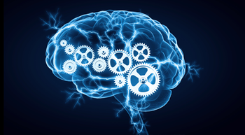 image of brain representing central nervous system