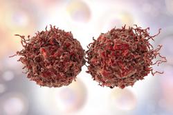 Addition of Darolutamide to ADT Shows Comparable Safety Profile Among Patients With nmCRPC