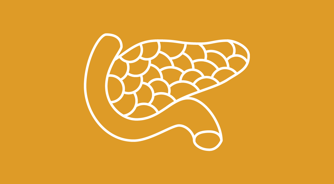 yellow background with a white outline indicating the pancreas