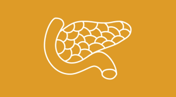 yellow background with a white outline indicating the pancreas