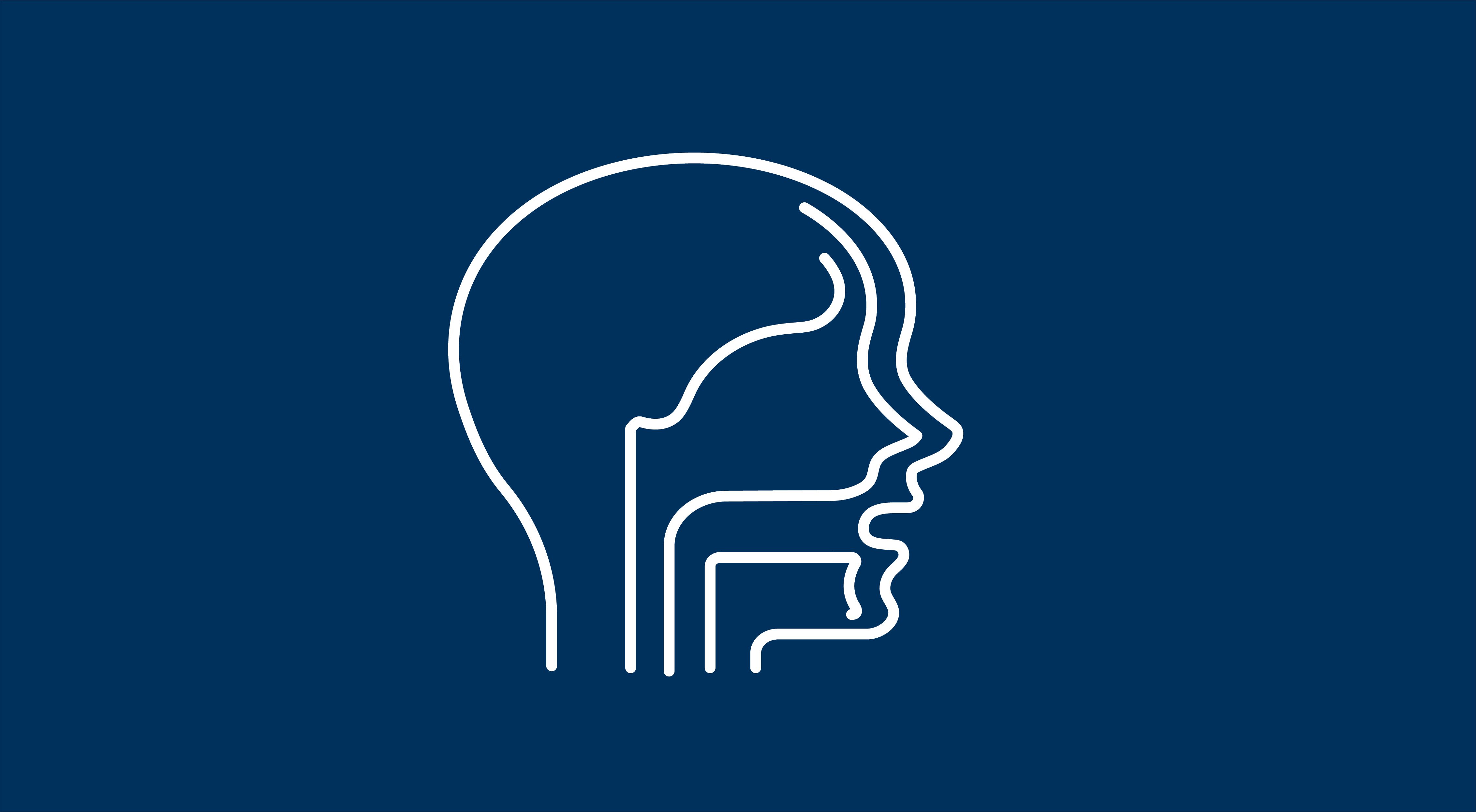 Line illustration of a nasal cavity