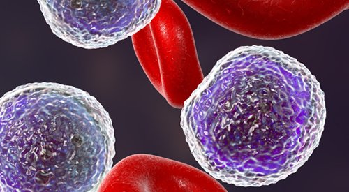 Oral and Dermatologic Toxicities Associated With Talquetamab Can Be Mitigated With Nurse Intervention Oral and Dermatologic Toxicities Associated With Talquetamab Can Be Mitigated With Nurse Intervention