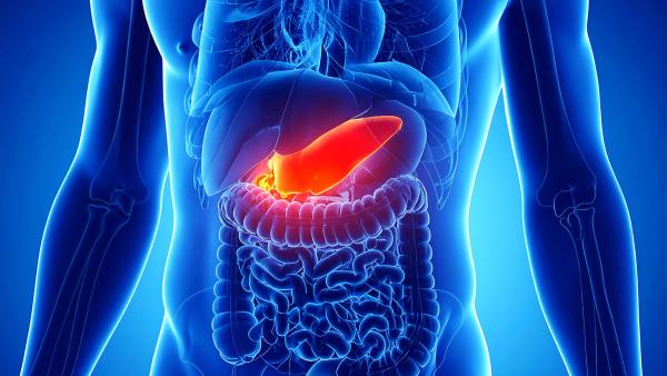 graphic of a person with the pancreas highlighted