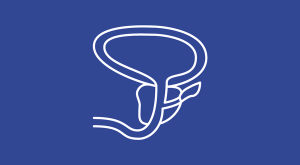 Hypofractionation Noninferior to Conventional Radiotherapy for Low-Risk Prostate Cancer