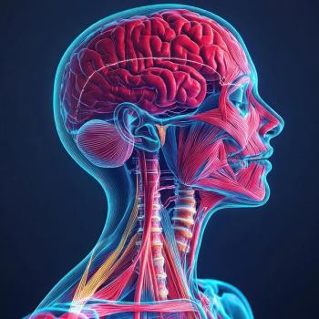 Anatomical graphic of the head and neck with organs visible