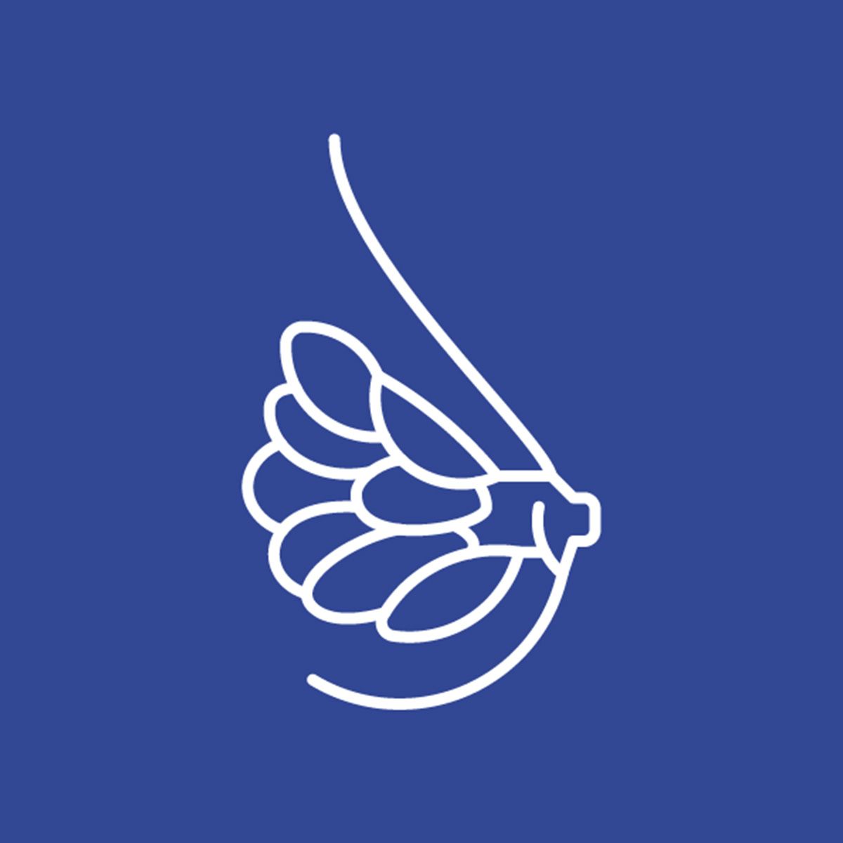 Line illustration of a breast on a blue background
