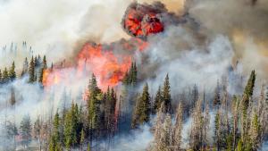wildfire smoke