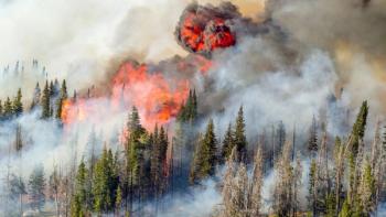 wildfire smoke