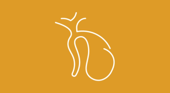Simple line illustration of a bladder on a gold background