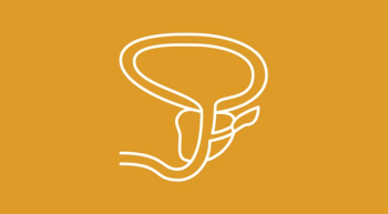 prostate on a yellow background