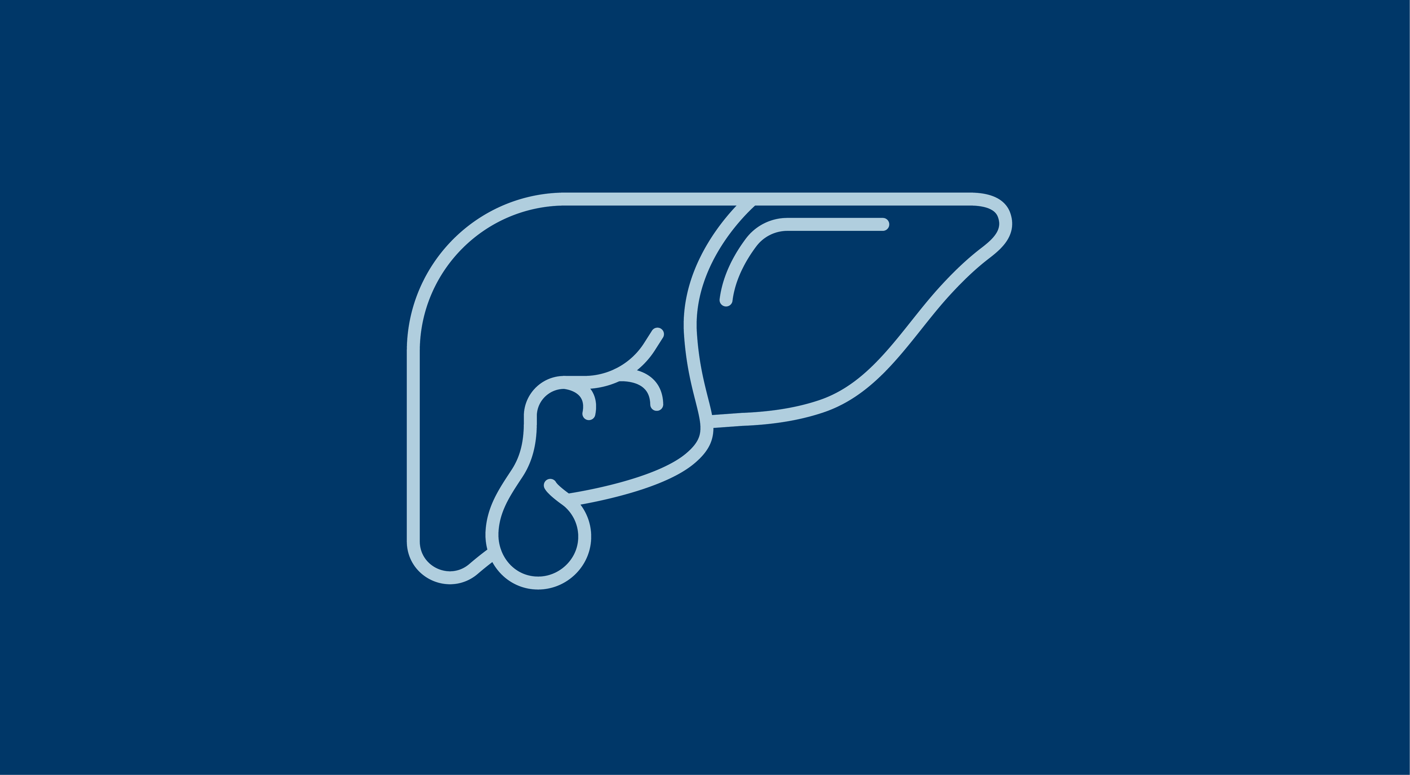 liver