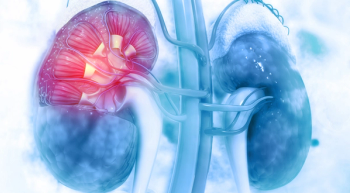 Blue image of kidneys with renal tubules highlighted in red