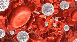 image of white blood cells
