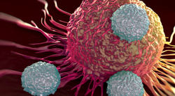 Patients With Metastatic Urothelial Carcinoma Achieve Superior Survival After Experiencing irAEs With Pembrolizumab