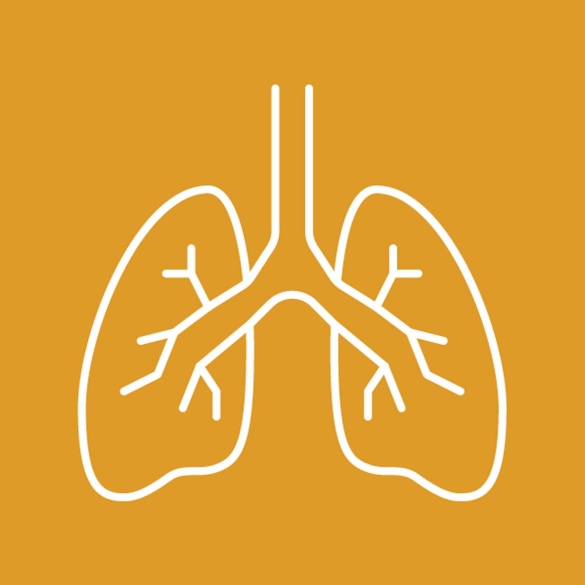 Line illustration of a lung on a yellow background