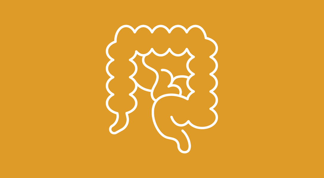 Line illustration of the GI tract on a gold background