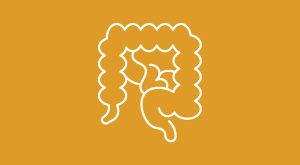 Line illustration of the GI tract on a gold background