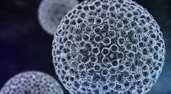 Dose-Optimized Regorafenib Provides Comparable, Safe Option for mCRC