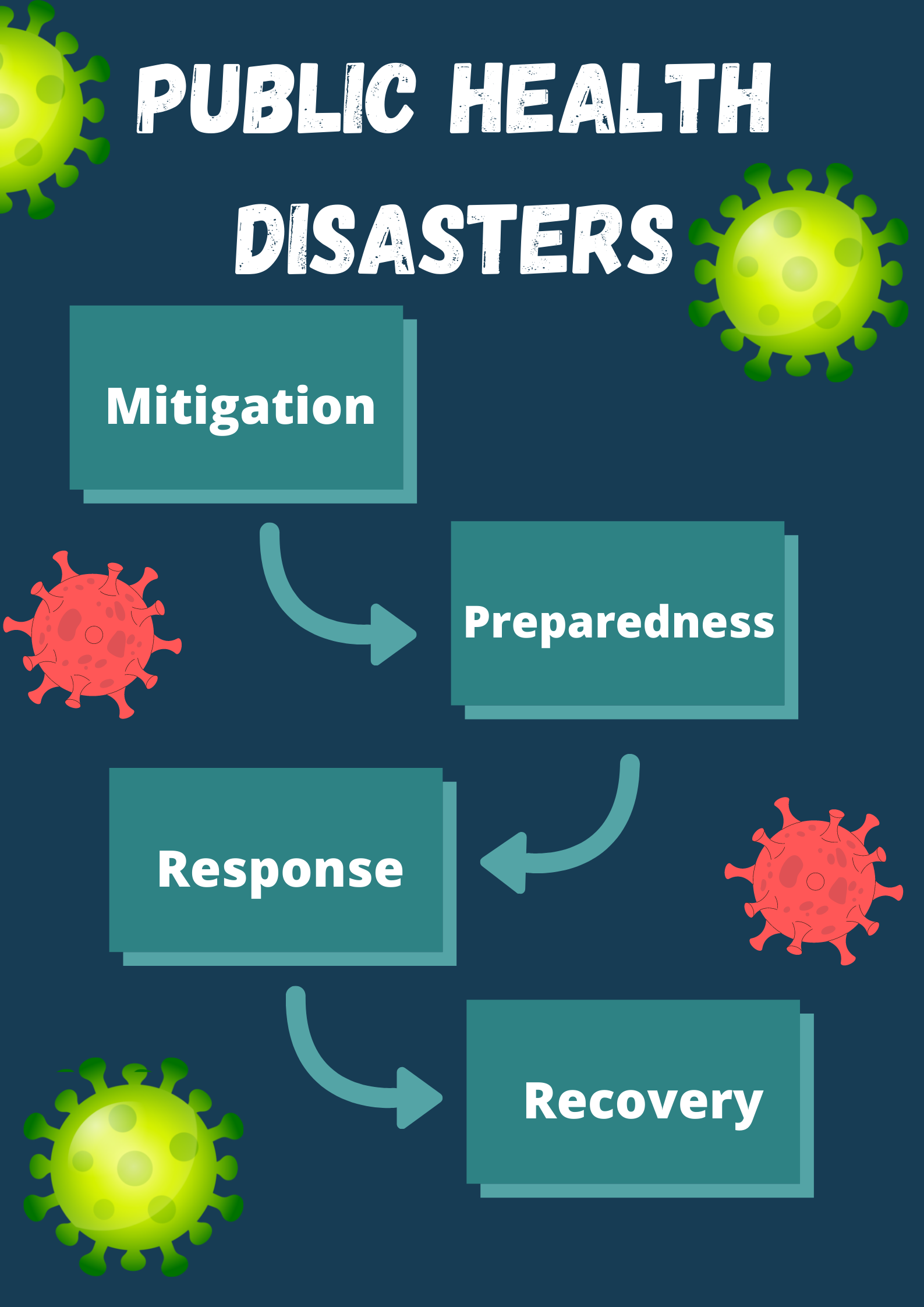 Health Disaster A Step-by-Step Guide for Nurses Facing a Public Health Disaster