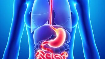 Blue anatomical model of a person with the stomach highlighted in orange