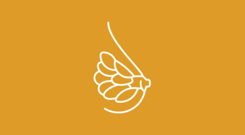 Simple line illustration of breast tissue on a yellow background