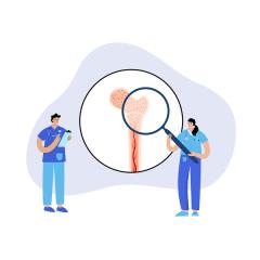 Graphic of clinicians inspecting a large diagram of a bone with an oversized magnifying glass